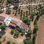 Residenza Il Normanno - La Terrazza Sul Mare Santa Domenica (Vibo Valentia)