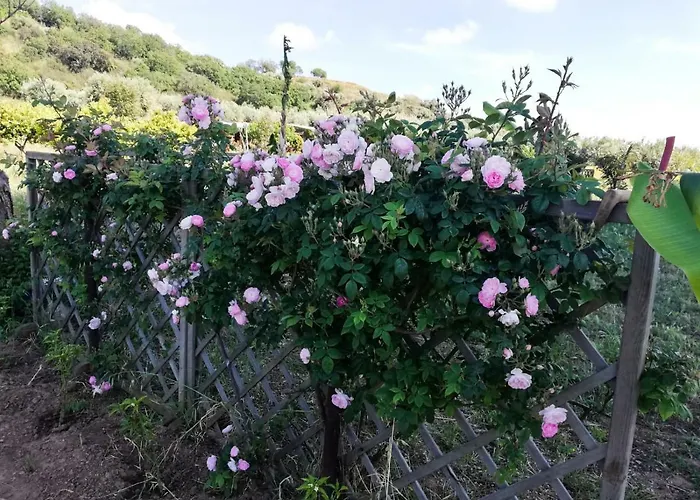 Residenza Il Normanno Apartamento *