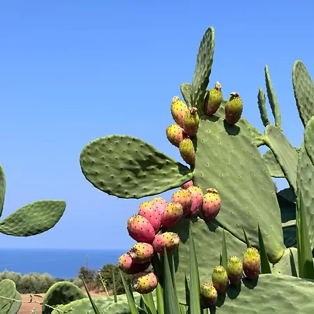 Residenza Il Normanno - La Terrazza Sul Mare Διαμέρισμα *
