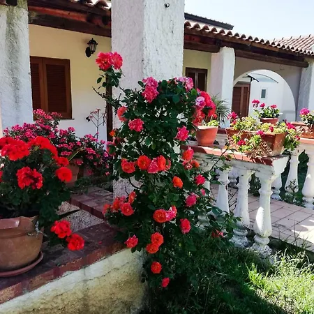 Residenza Il Normanno Apartment Santa Domenica (Vibo Valentia)