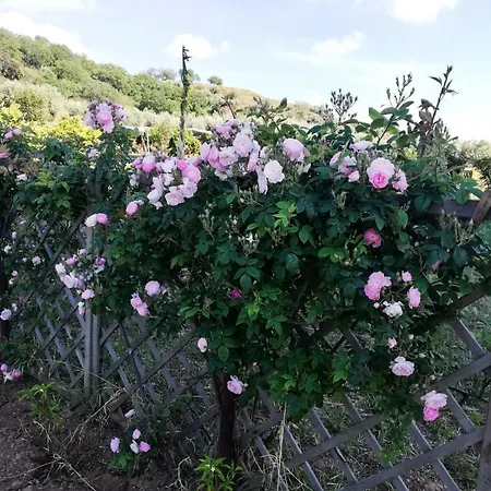 Residenza Il Normanno Apartment *