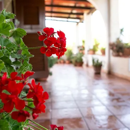 Residenza Il Normanno Apartment *