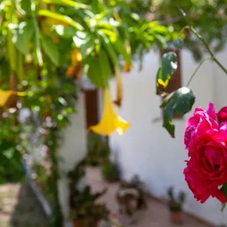 Apartment Residenza Il Normanno *