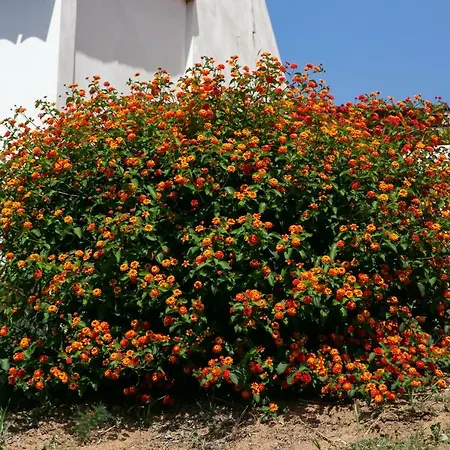 Residenza Il Normanno *