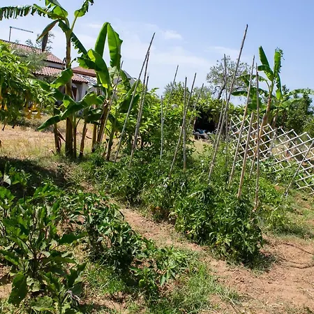 Residenza Il Normanno Appartamento *