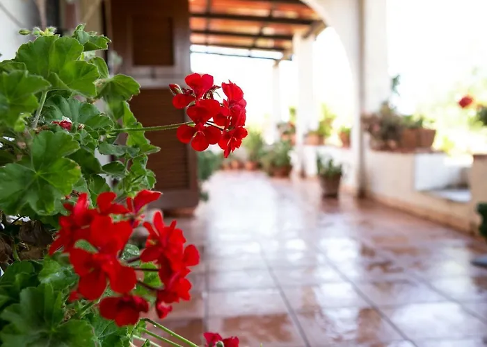 Residenza Il Normanno Apartamento *