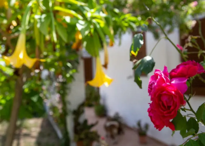 דירה Residenza Il Normanno *