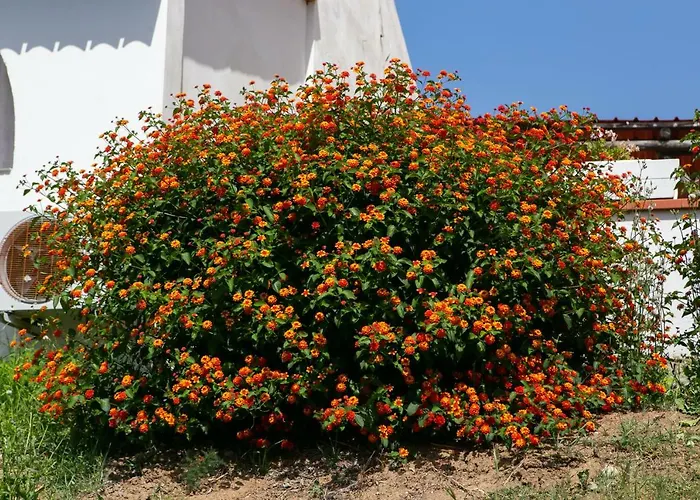 Residenza Il Normanno *