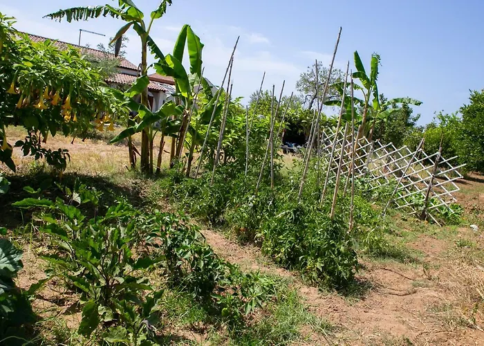 Residenza Il Normanno דירה *