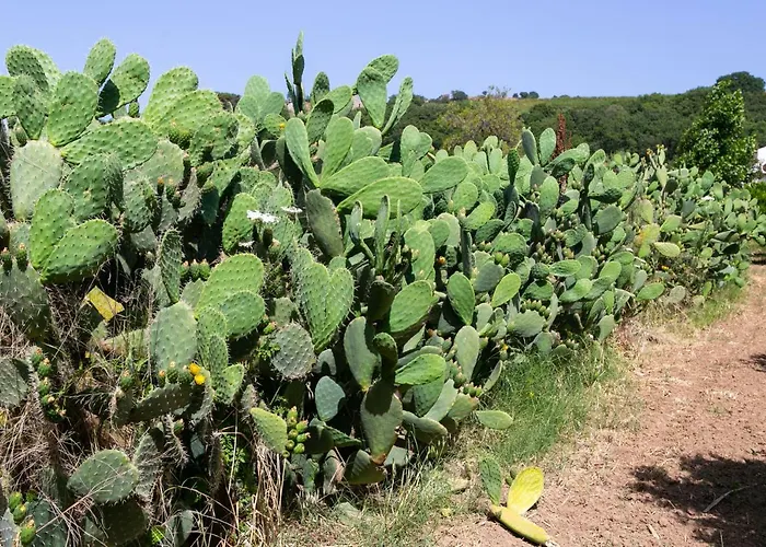 דירה Residenza Il Normanno