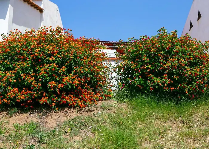 Residenza Il Normanno סנטה דומניקה